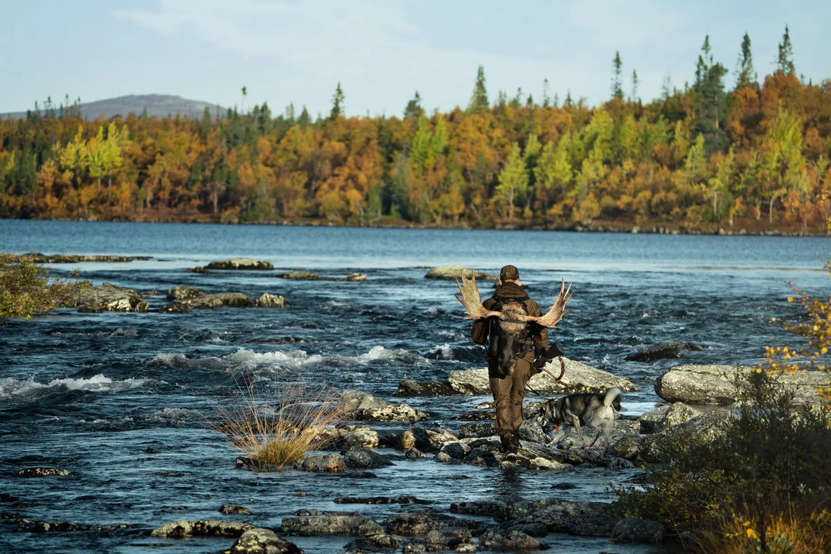Mountain Hunter jacket - Hunting green/Shadow brown