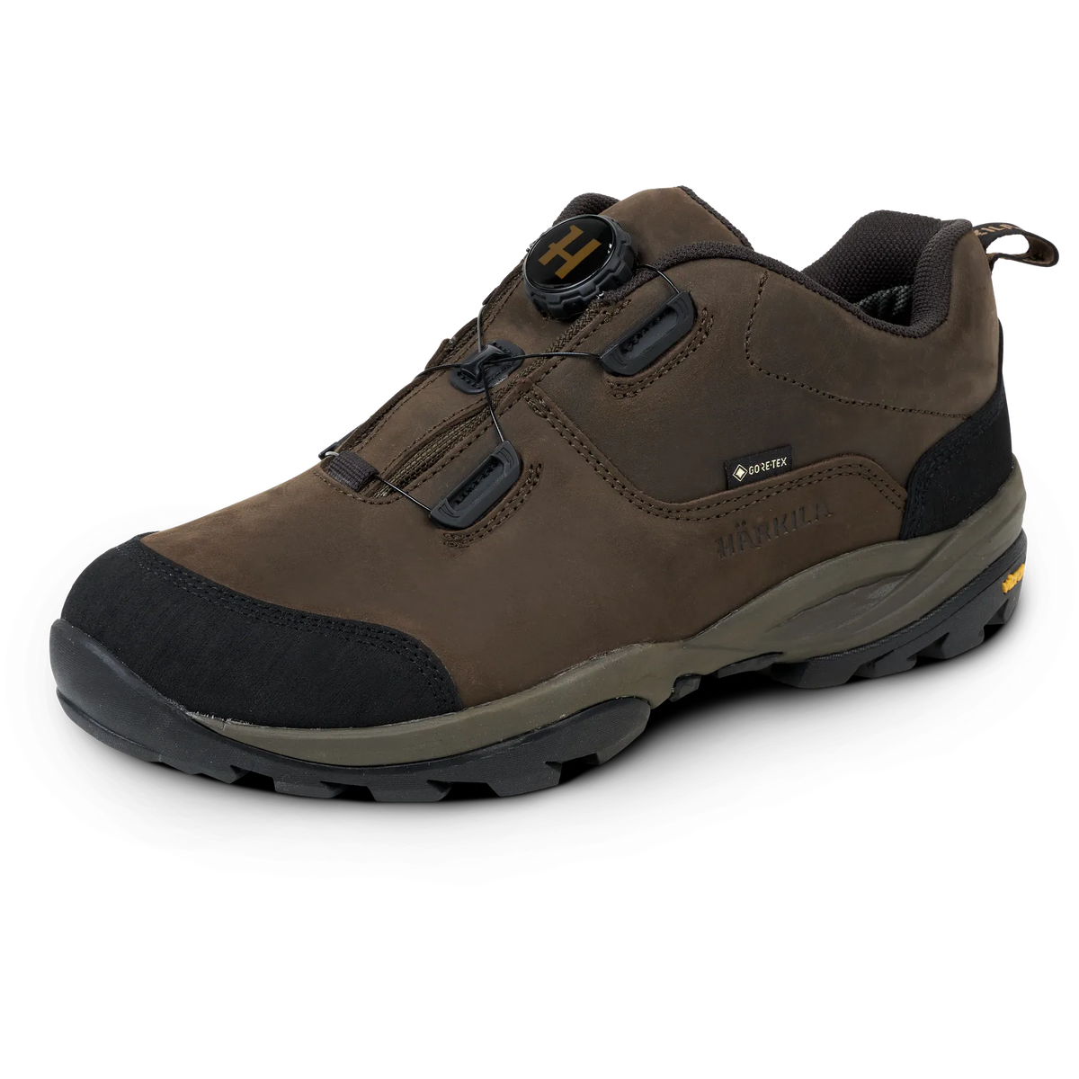 Reidmar Low GTX - Dark brown